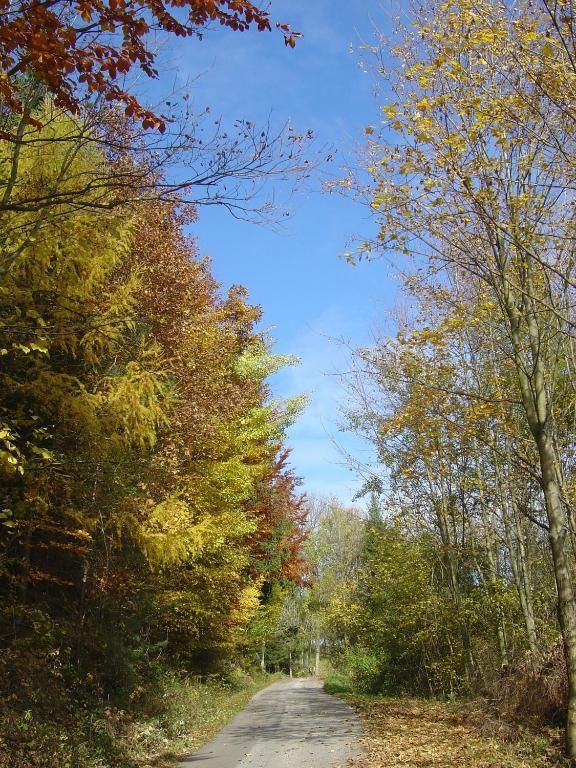 Вилла Goelsenhof - Fam. Buechinger Wald  Экстерьер фото